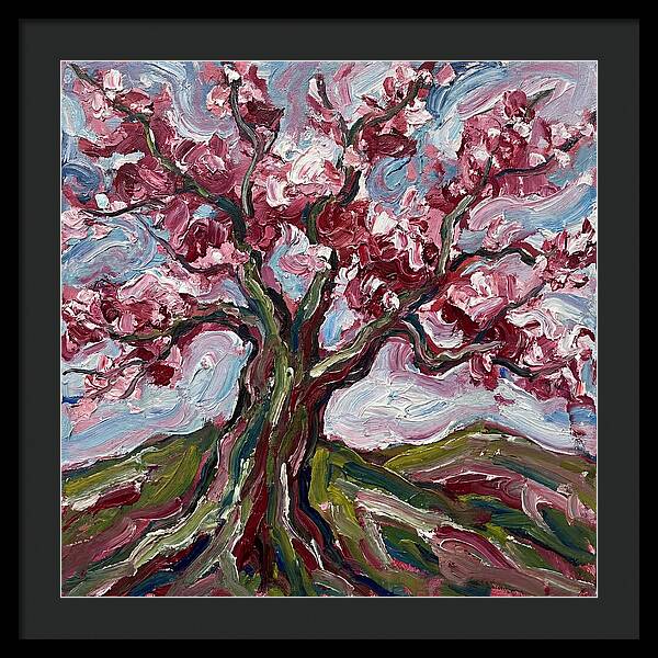 Cherry Blossom Tree