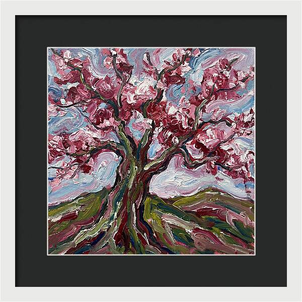 Cherry Blossom Tree