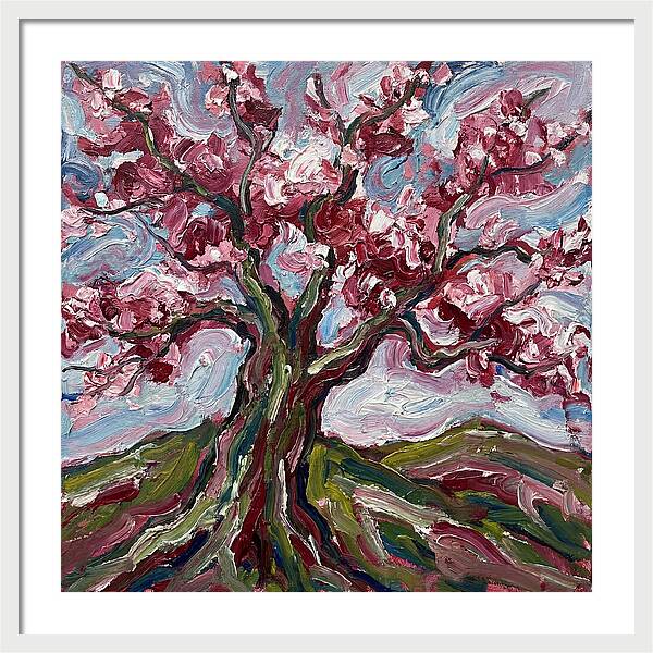 Cherry Blossom Tree