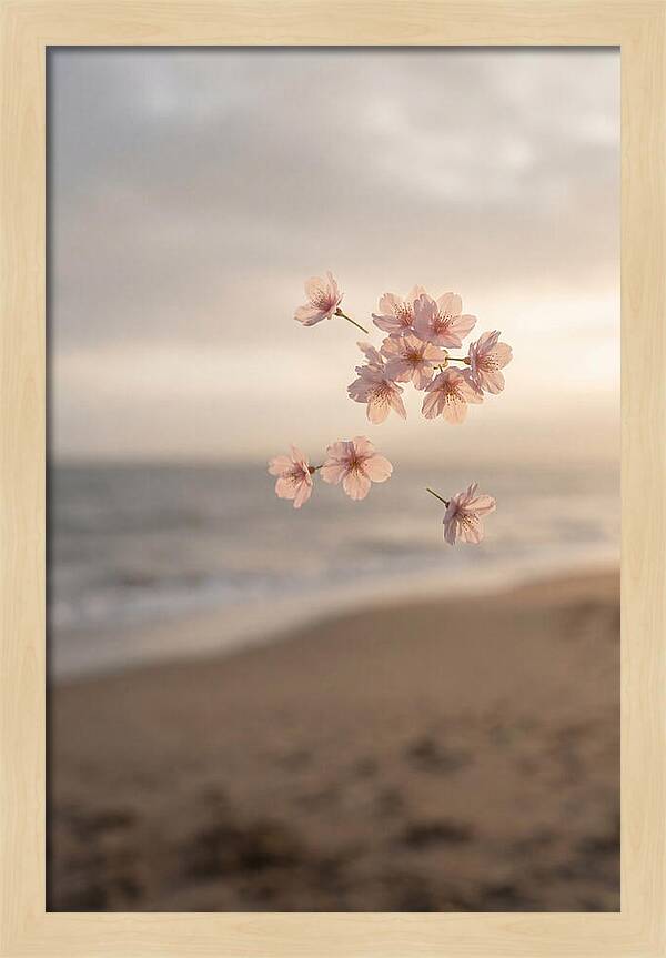 Cherry Blossoms Drifting Through Air