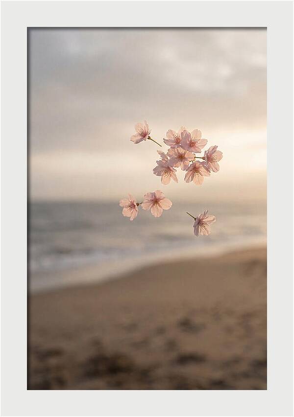 Cherry Blossoms Drifting Through Air