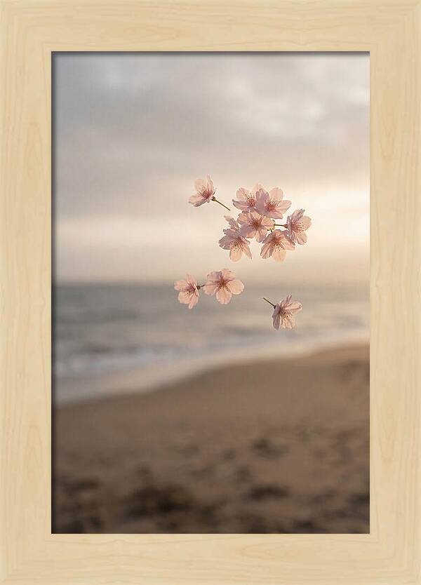 Cherry Blossoms Drifting Through Air