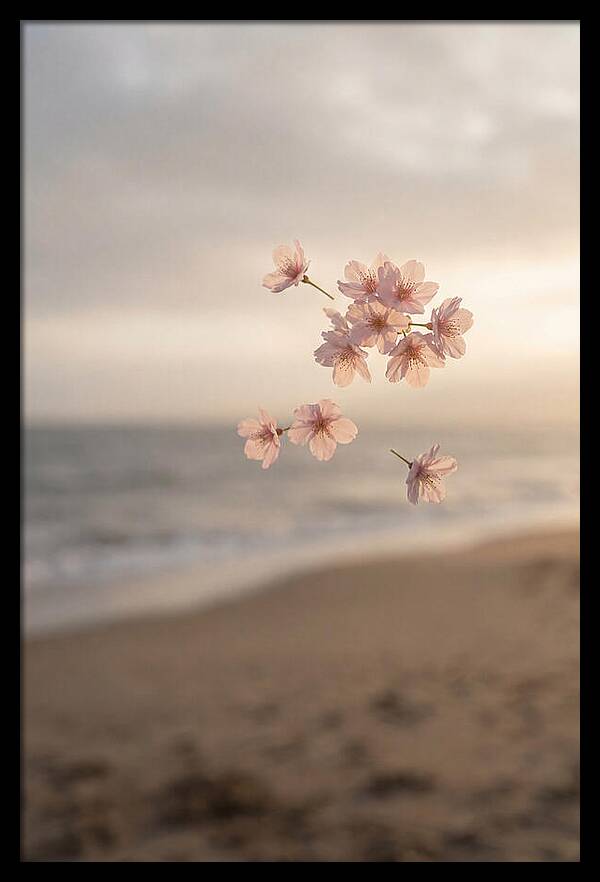 Cherry Blossoms Drifting Through Air