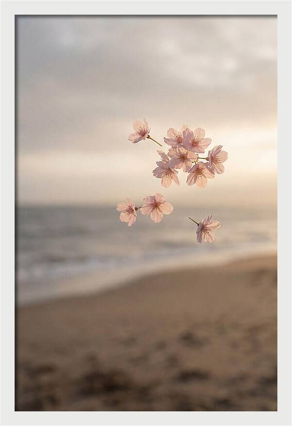 Cherry Blossoms Drifting Through Air