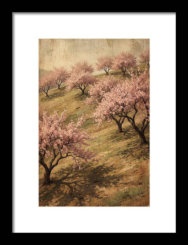 Cherry Orchard In Full Bloom