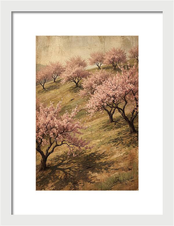 Cherry Orchard In Full Bloom