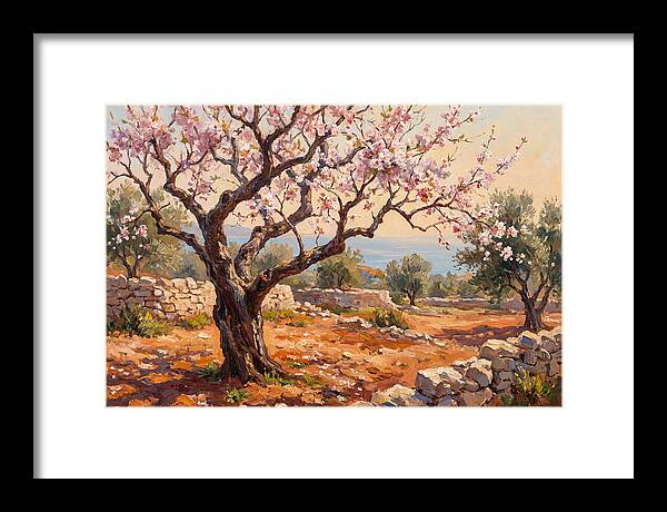 Cherry Tree Blossoms In The Mediterranean
