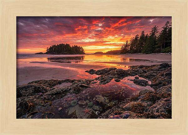 Chesterman Beach Sunset Reflections