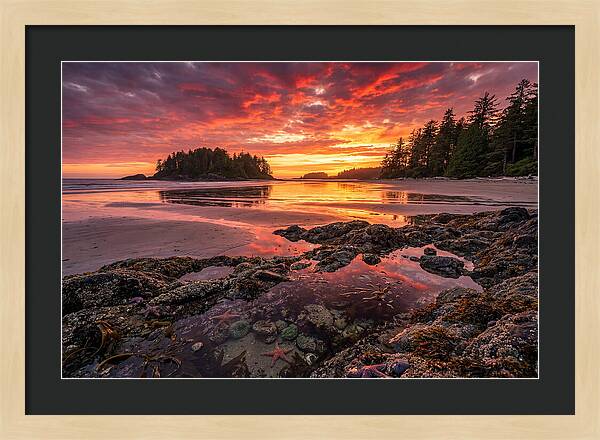Chesterman Beach Sunset Reflections
