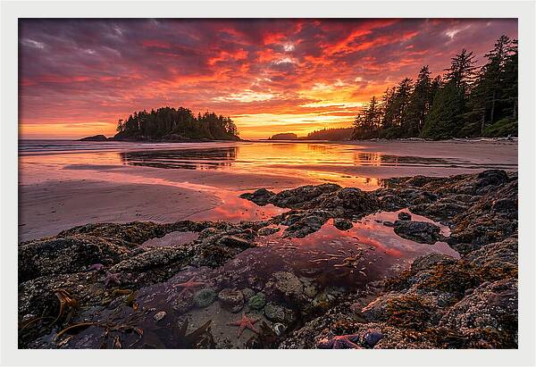 Chesterman Beach Sunset Reflections