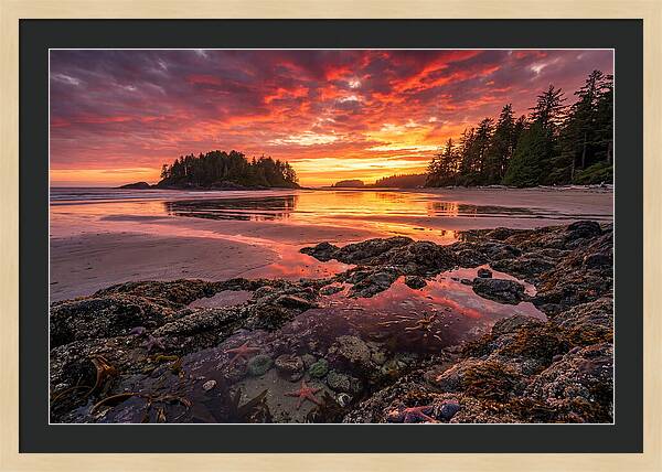 Chesterman Beach Sunset Reflections