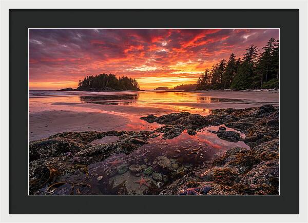 Chesterman Beach Sunset Reflections