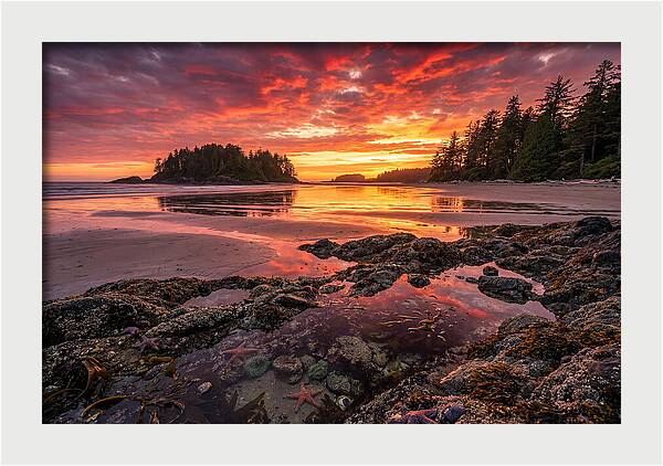 Chesterman Beach Sunset Reflections