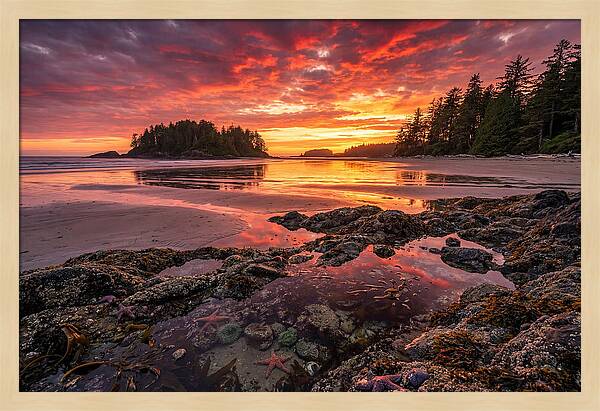 Chesterman Beach Sunset Reflections