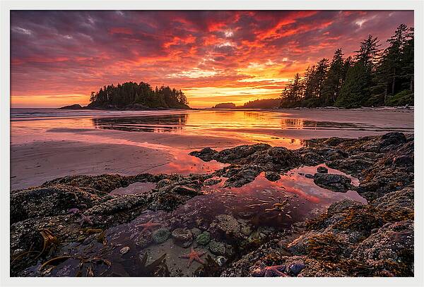 Chesterman Beach Sunset Reflections