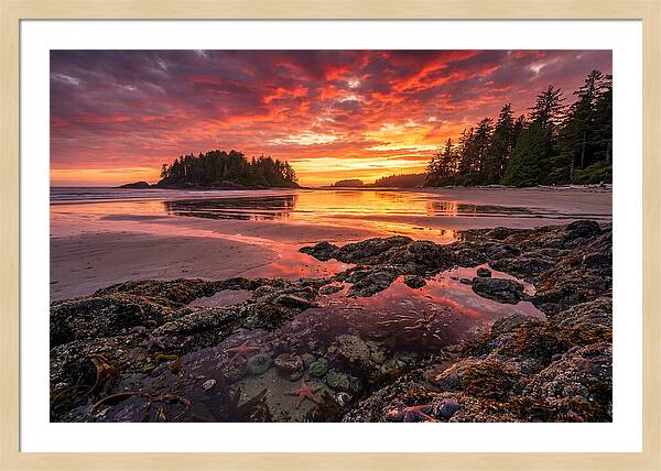 Chesterman Beach Sunset Reflections
