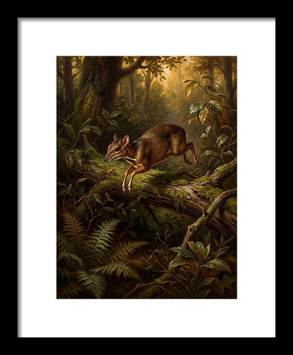 Chevrotain In The Forest