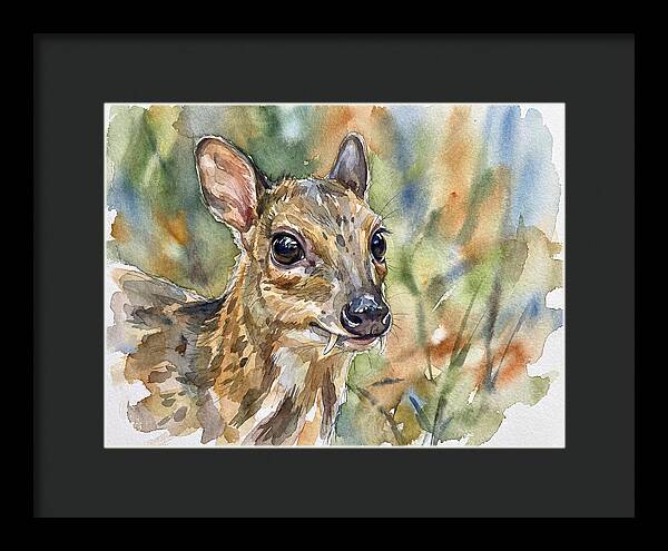 Chevrotain Portrait In Nature