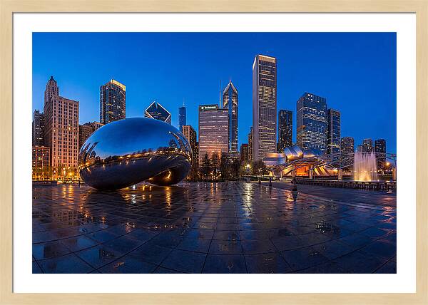Chicago Bean Reflected In Twilight