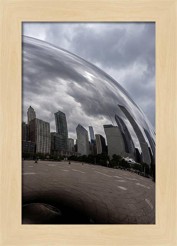 Chicago Bean Reflection
