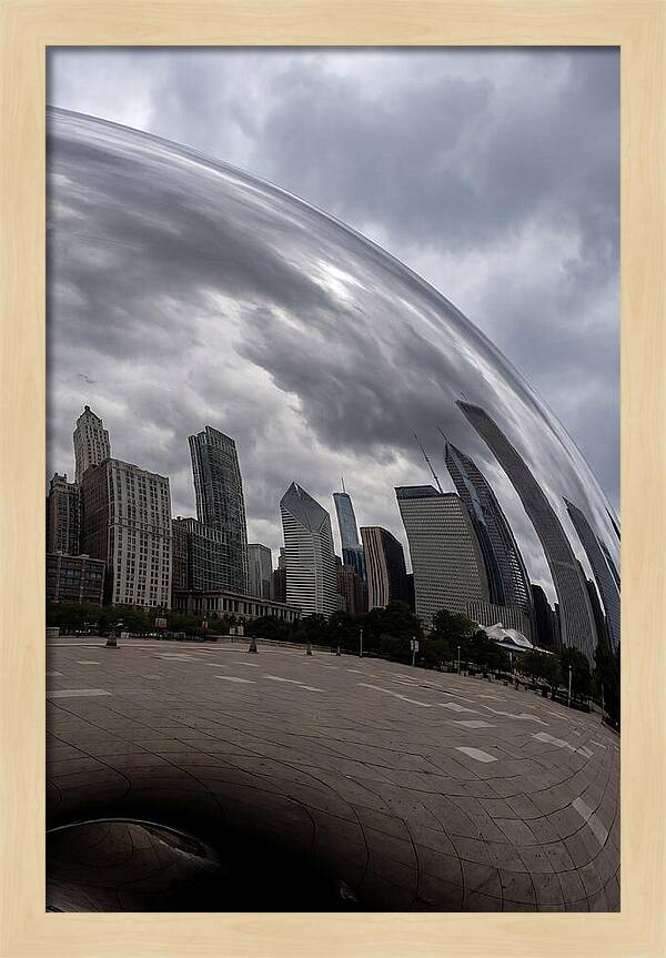 Chicago Bean Reflection
