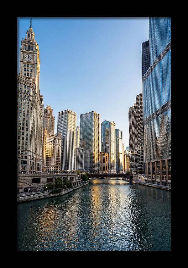 Chicago River Serenity