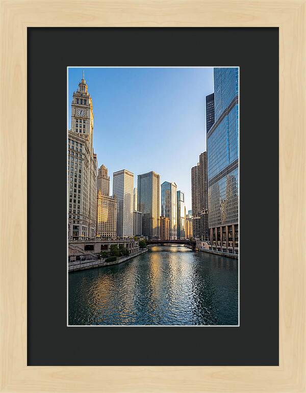 Chicago River Serenity