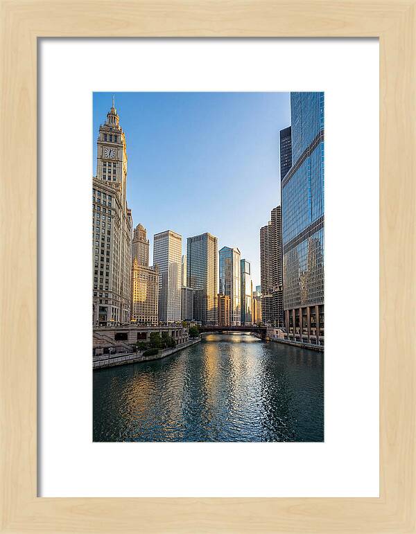 Chicago River Serenity