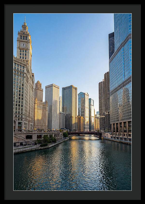 Chicago River Serenity