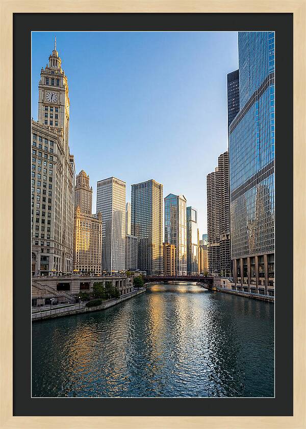 Chicago River Serenity