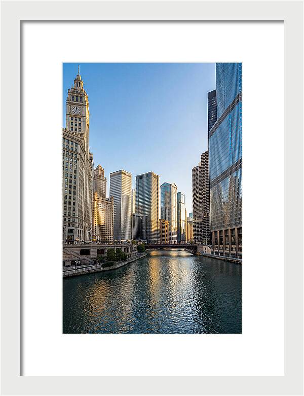 Chicago River Serenity