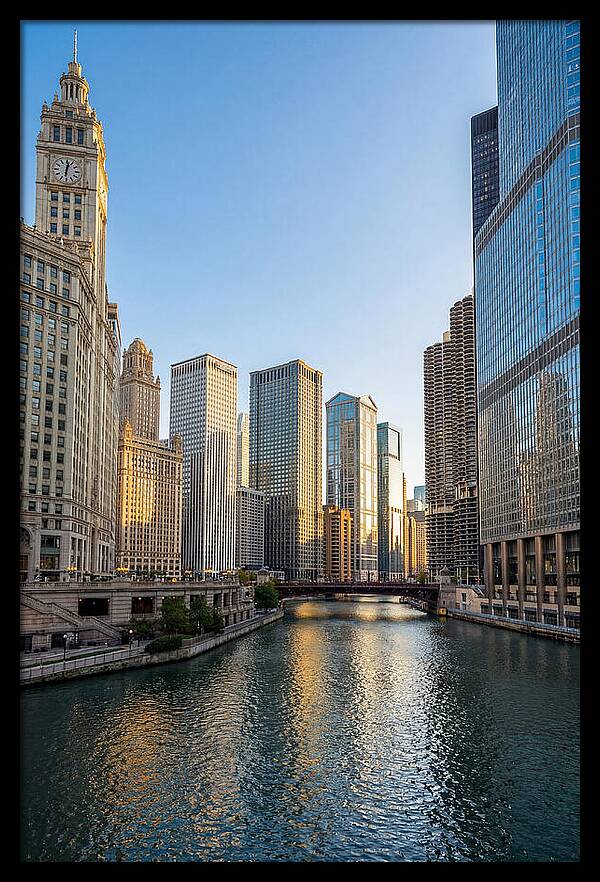 Chicago River Serenity