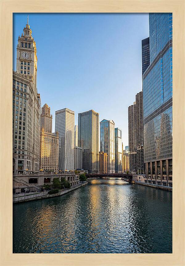 Chicago River Serenity