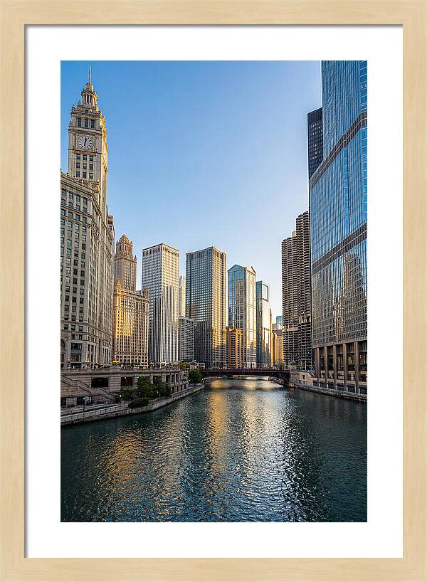 Chicago River Serenity