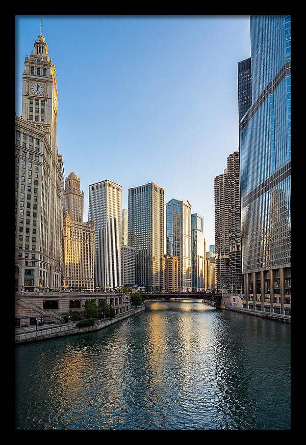 Chicago River Serenity