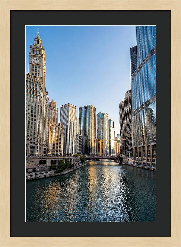 Chicago River Serenity