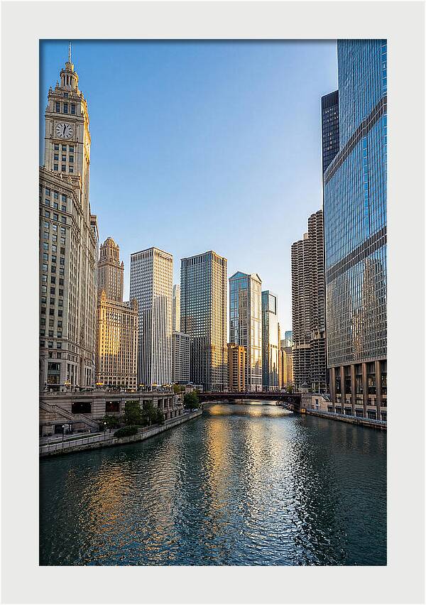 Chicago River Serenity