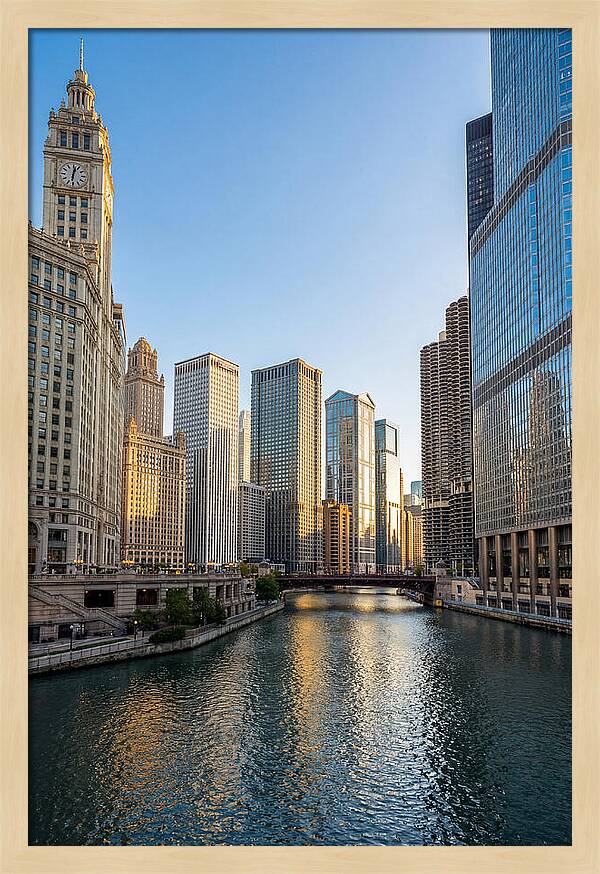 Chicago River Serenity