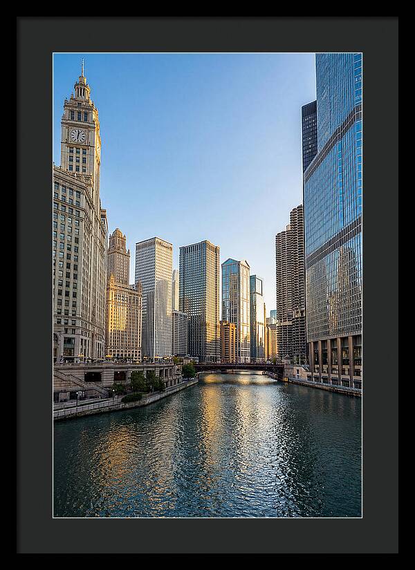 Chicago River Serenity