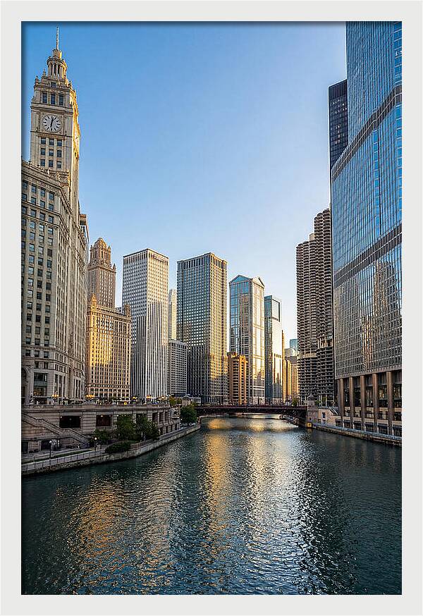 Chicago River Serenity