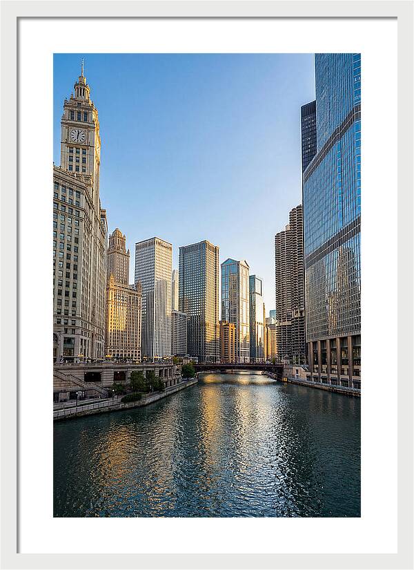 Chicago River Serenity