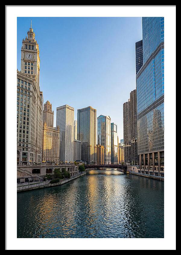 Chicago River Serenity