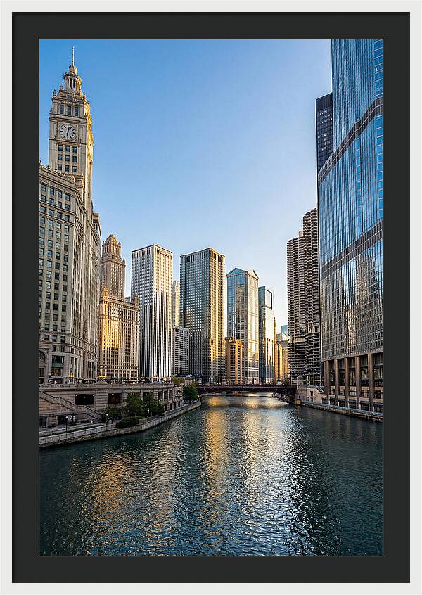 Chicago River Serenity