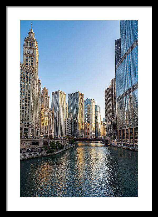 Chicago River Serenity
