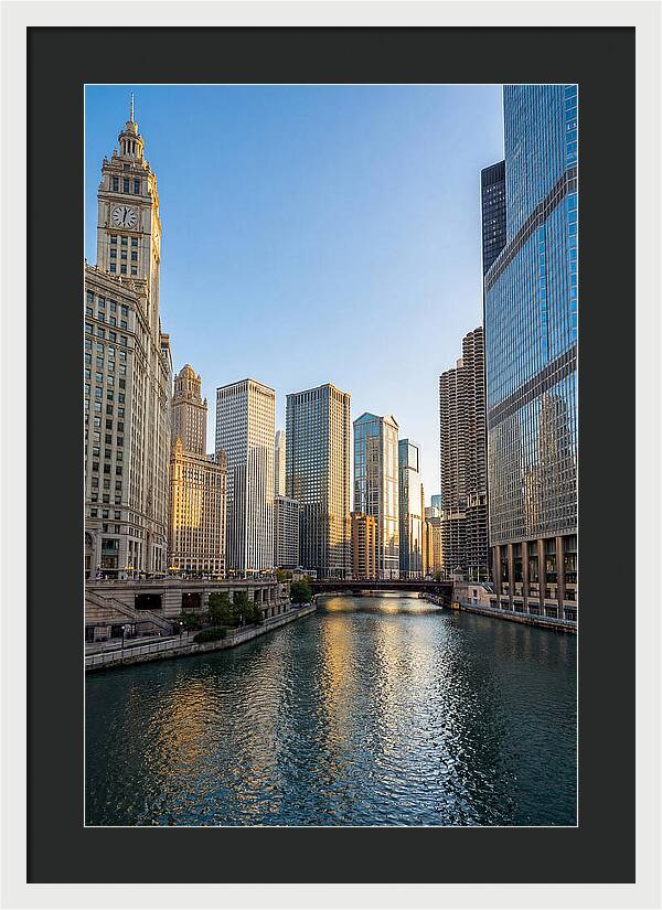 Chicago River Serenity