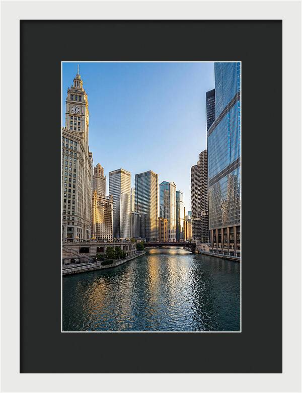 Chicago River Serenity