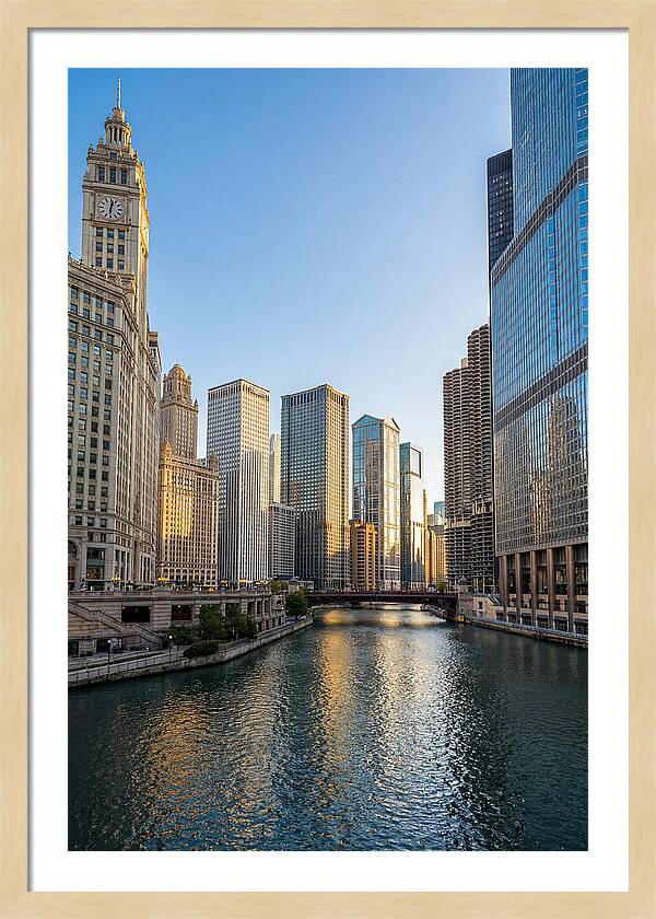 Chicago River Serenity