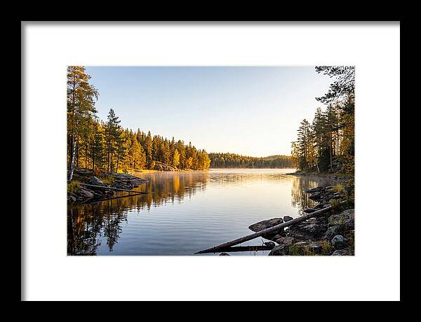 Chicot State Park Serenity