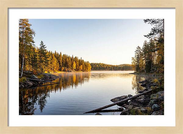 Chicot State Park Serenity