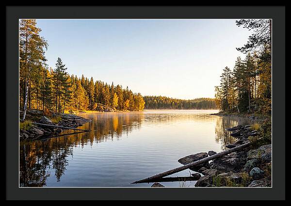 Chicot State Park Serenity
